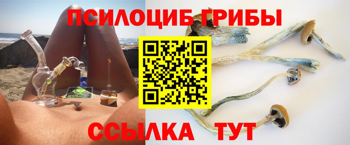 Псилоцибиновые грибы Psilocybine cubensis Канск