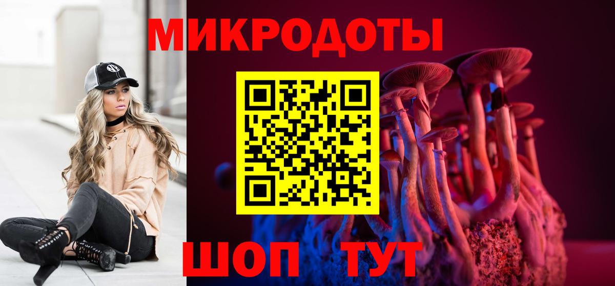 Псилоцибиновые грибы мицелий  Псилоцибиновые грибы Psilocybe  Канск  Вход с VPN 